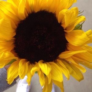 Meet your Posher, Addie